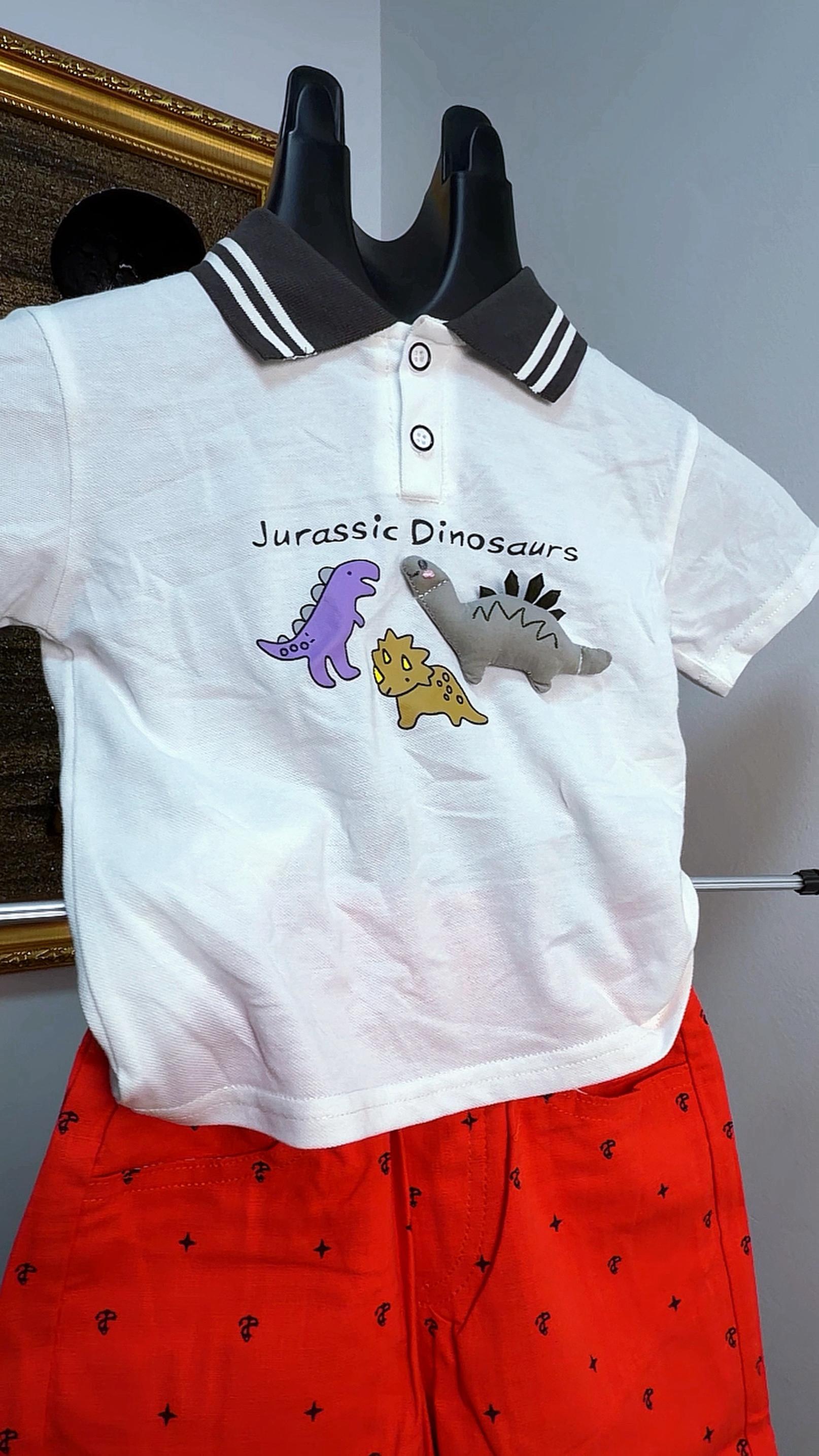 Boys Shirt and Shorts
