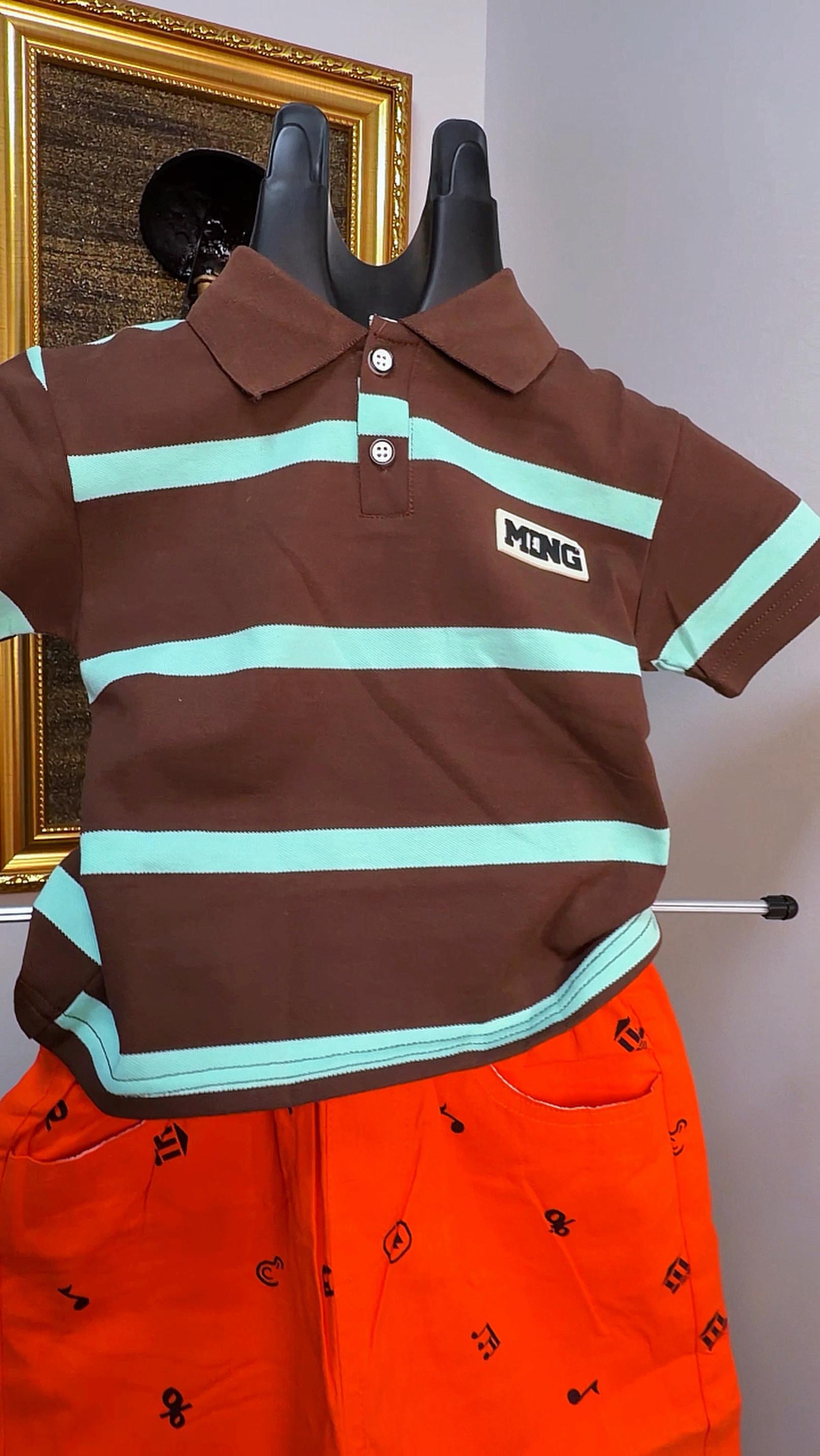Boys Shirt and Shorts